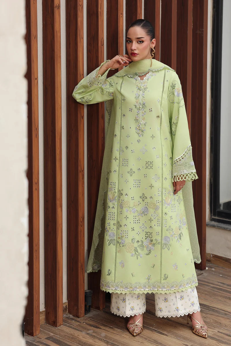 AYANA - Stitched & Unstitched