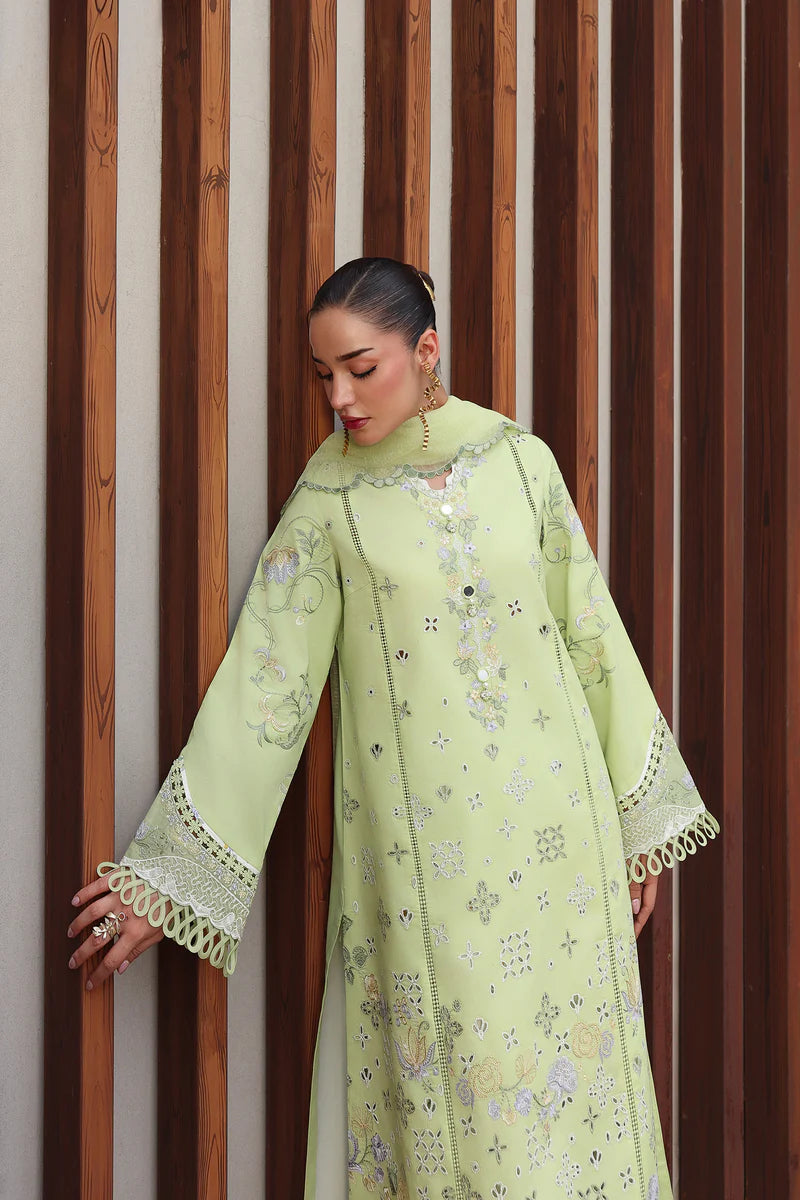 AYANA - Stitched & Unstitched