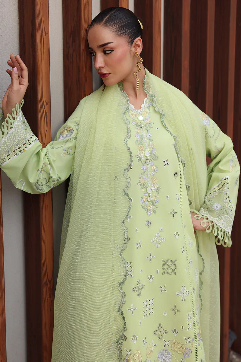 AYANA - Stitched & Unstitched