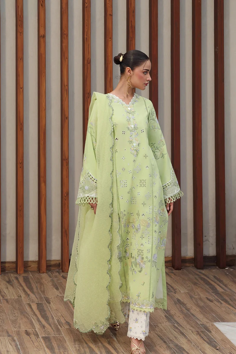 AYANA - Stitched & Unstitched