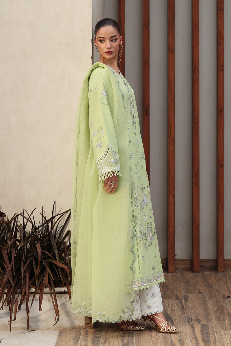 AYANA - Stitched & Unstitched