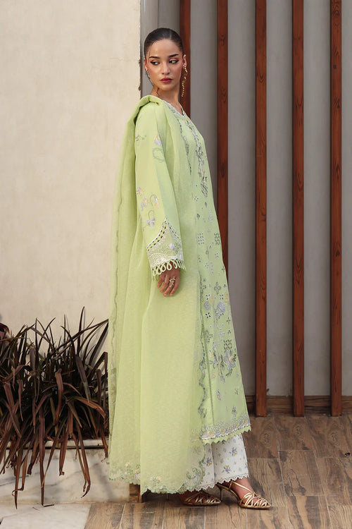 AYANA - Stitched & Unstitched